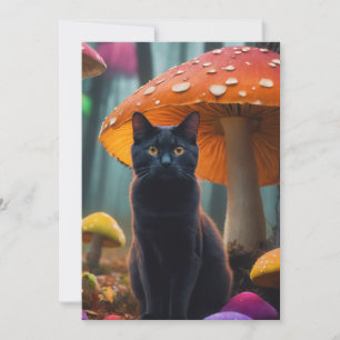 Invitación gato en MUSHROOM