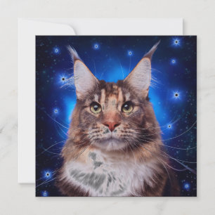 Invitación Gato Main Coon Fondo Azul Estrellas