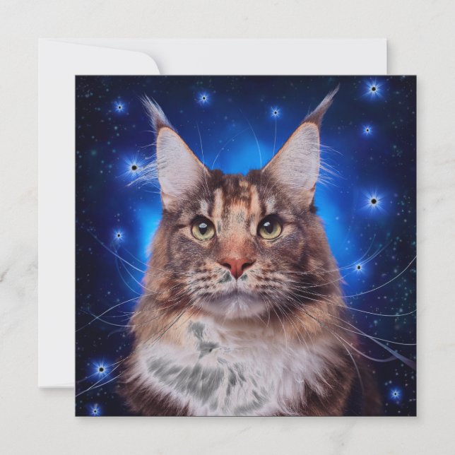 Invitación Gato Main Coon Fondo Azul Estrellas (Anverso)