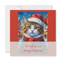Gato Navideño Festivo con Gorro de Santa