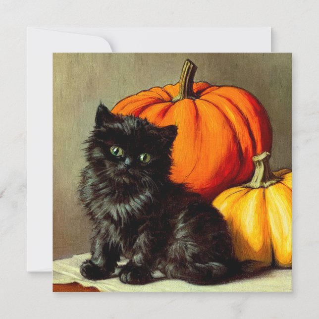 Invitación Gato negro vintage de Halloween y calabazas (Anverso)