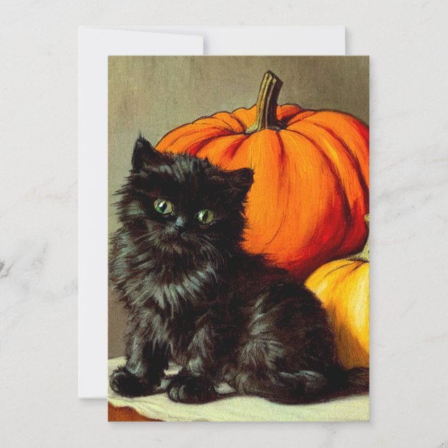 Invitación Gato negro vintage de Halloween y calabazas (Anverso)
