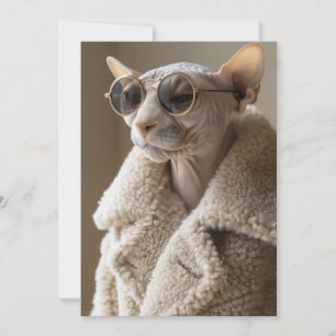 Invitación Gato Sfinx elegante con gafas de sol y abrigo sher