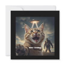 Gato tomándose selfie con OVNI y obsequio divertid