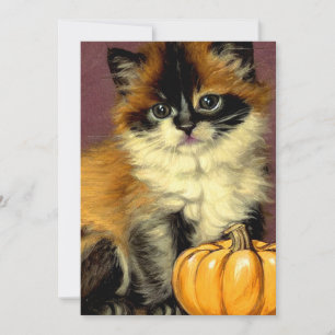 Invitación Gato Vintage Ragdoll Halloween