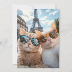 Invitación Gatos de Guay en París
