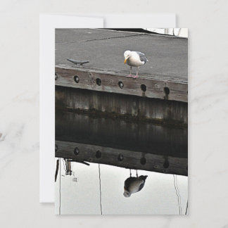 Invitación gaviota reflexiva