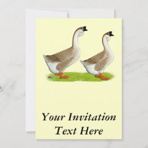 Invitación Geese: Buff African