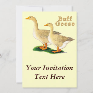 Invitación Geese: Buffs norteamericanos