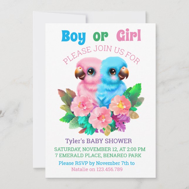 Invitación Gemelos de loro para bebés (Anverso)