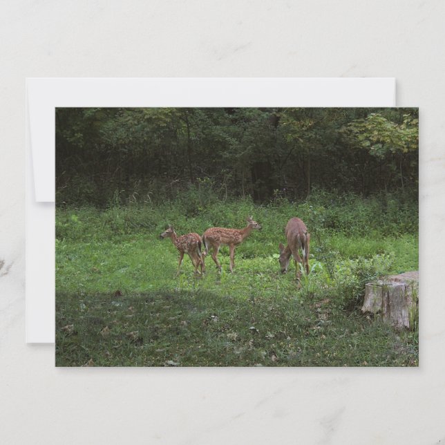 Invitación Gemelos y su mamá (Anverso)