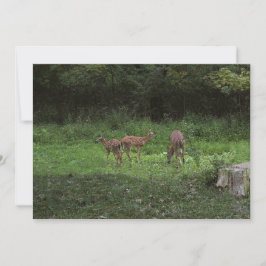 Invitación Gemelos y su mamá