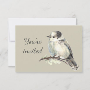Invitación general personalizada Gray Jay pájaro d