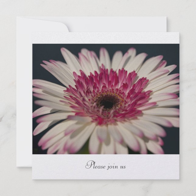 Invitación Gerbera (Anverso)