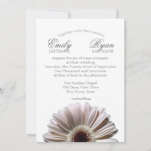Invitación Gerbera Daisy White Rubor