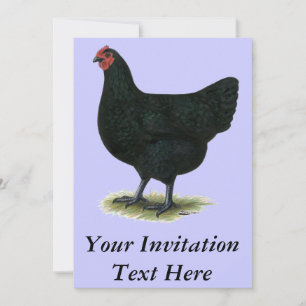 Invitación Gigante de Jersey: Black Hen