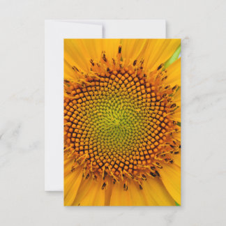 Invitación Girasol