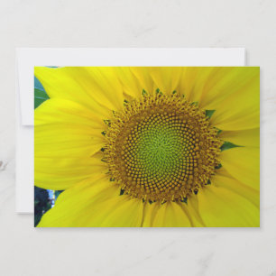 Invitación Girasol y semillas, espiral, proporción áurea