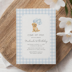 Invitación Golden Retriever Blue Gingham Birthday