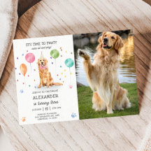 Golden Retriever Pawty Dog Puppy Birthday Blue