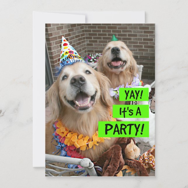 Invitación Golden Retriever Yay It's A Party Invitation (Anverso)