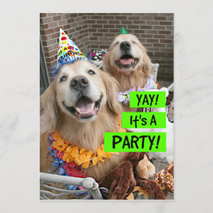 Invitación Golden Retriever Yay's A Party Invitation