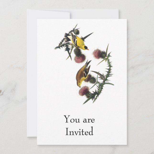 Invitación Goldfinch del americano de Audubon (Anverso)