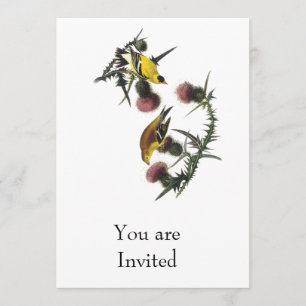 Invitación Goldfinch del americano de Audubon