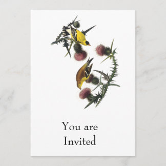 Invitación Goldfinch del americano de Audubon