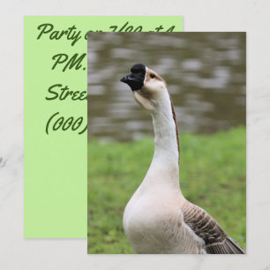 Invitación Goose