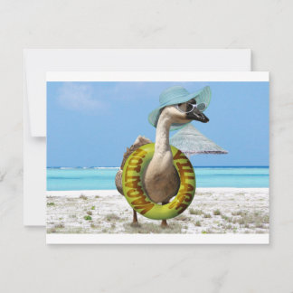 Invitación Goose gracioso en la playa