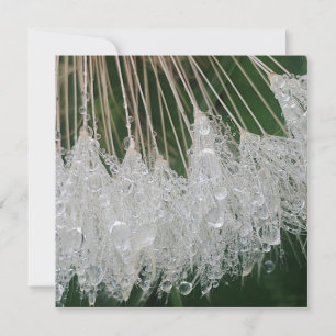 Invitación Gotas de agua