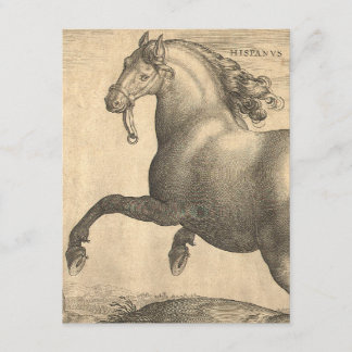 Invitación Grabado antiguo elegante del caballo español