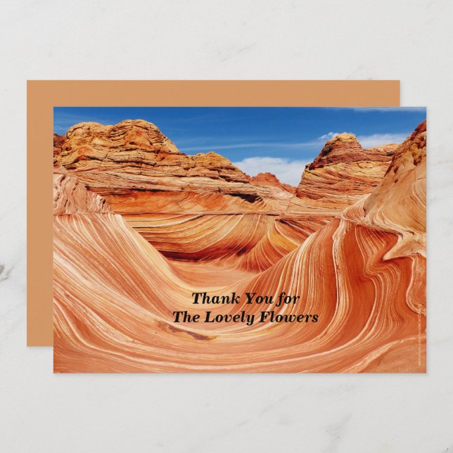 Invitación Gracias por conmemorar el paraíso fotográfico de l (Anverso / Reverso)