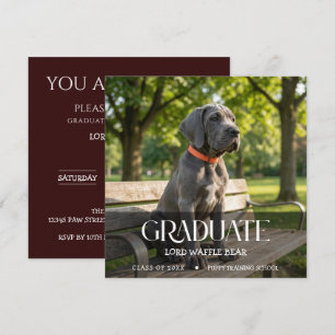 Invitación Graduación Canina Foto de Mascota Cereza Negra