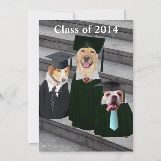Invitación Graduación divertida de perro (Anverso)