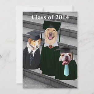 Invitación Graduación divertida de perro