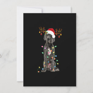 Invitación Gran Árbol de Navidad de danés ilumina a Perro Paj