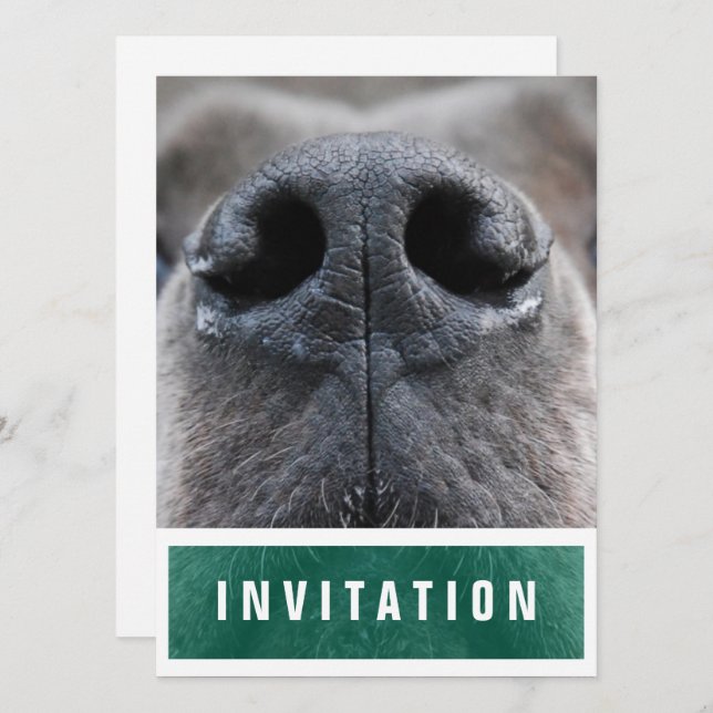 Invitación Gran Danés Nariz arriba (Anverso / Reverso)