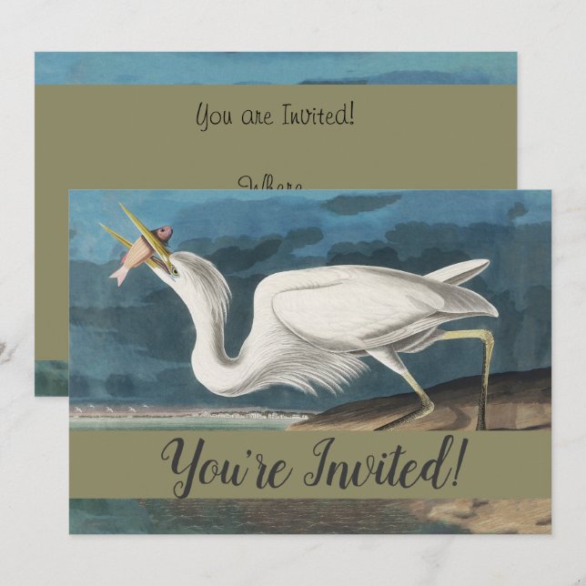Invitación Gran pintura de vida silvestre de la garza Audubon (Anverso / Reverso)