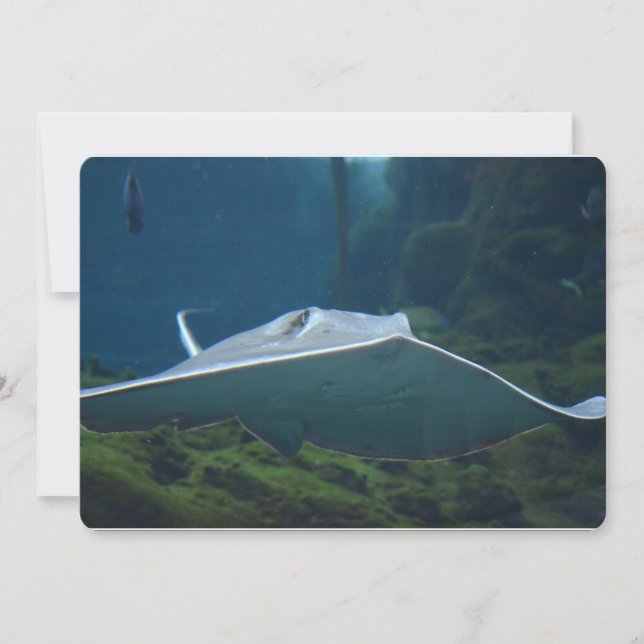 Invitación Grande y gris (Anverso)