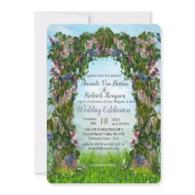 Grapevines, boquerones y colibríes