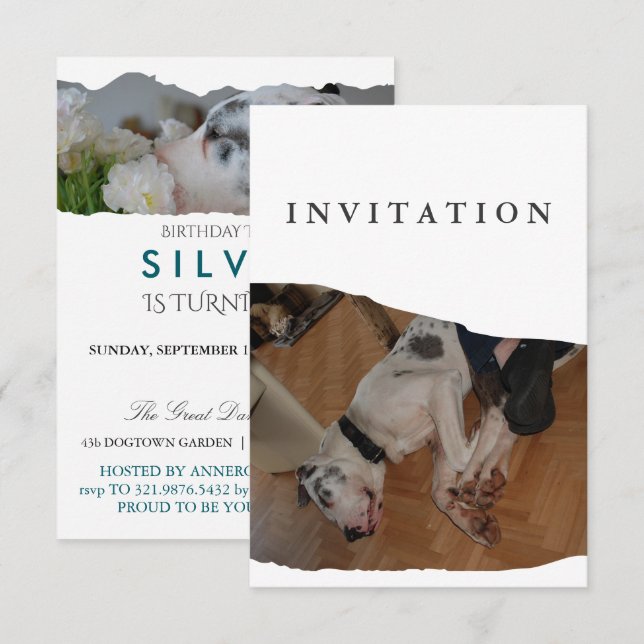Invitación Great Dane Photo invitation  (Anverso / Reverso)