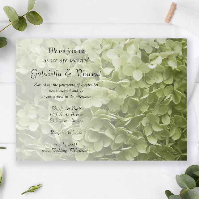Invitación Green Annabelle Hydrangea Boda Floral (Subido por el creador)