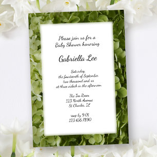 Invitación Green Annabelle Hydrangea Flower Baby Shower