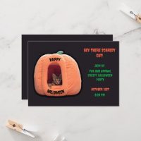 Gris oscuro y calabaza naranja Kitten Halloween