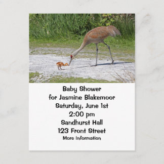 Invitación Grúas de Sandhill del pájaro de la madre y del