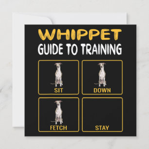Invitación Guía de Whippet para el entrenamiento de la obedie