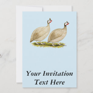 Invitación Guineas Buff Dundotte Fowl
