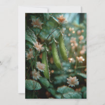 Guisante en la vaina | Brotes Dulces